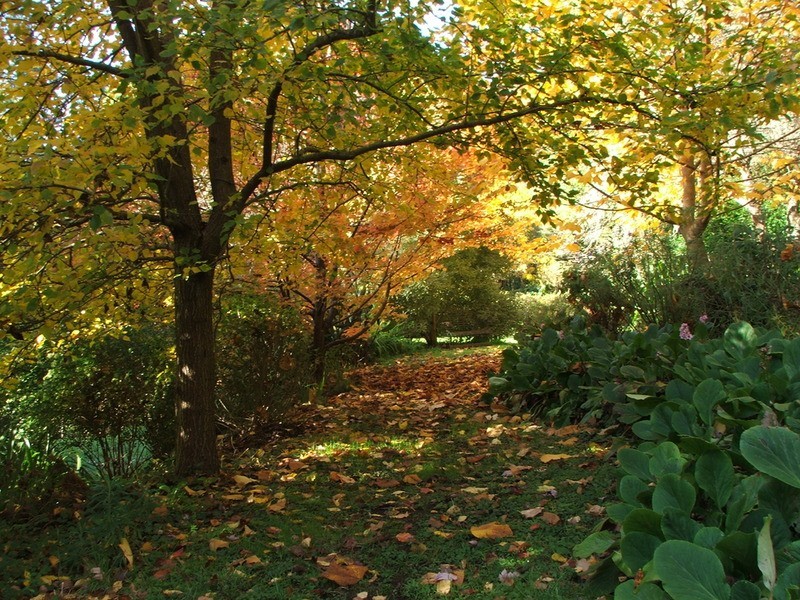 59 Barbers Road, Kalorama VIC 3766