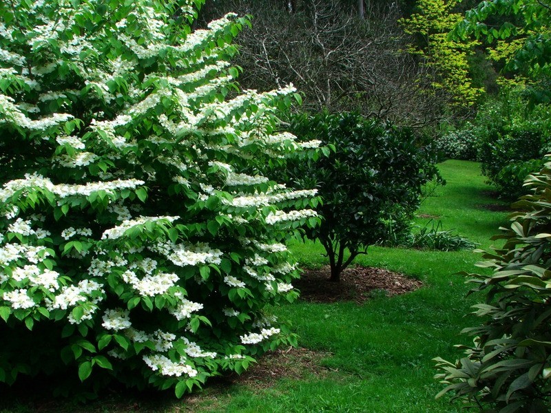 59 Barbers Road, Kalorama VIC 3766