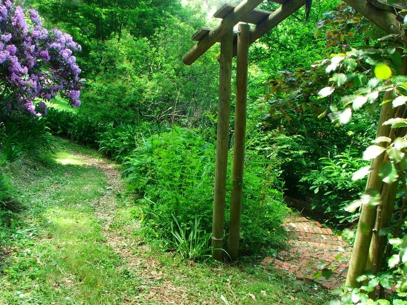 59 Barbers Road, Kalorama VIC 3766