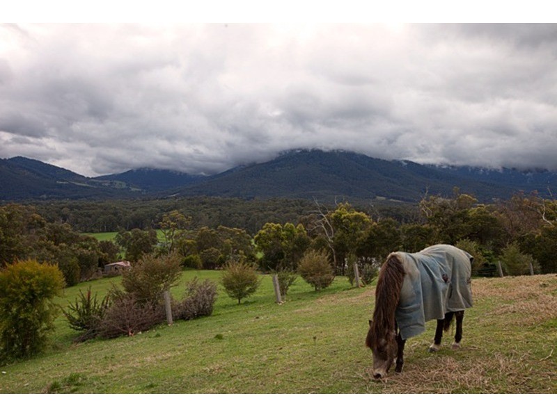 40 Riverview  Parade, Launching Place VIC 3139