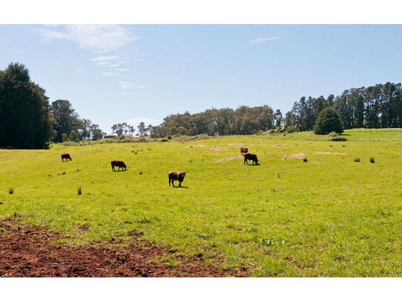 39 McKillop Road, Mount Evelyn VIC 3796