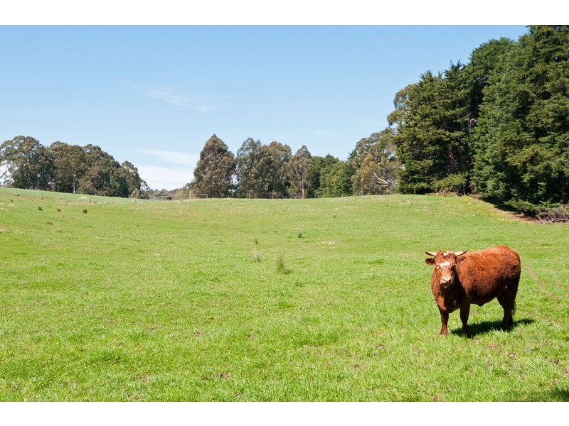 39 McKillop Road, Mount Evelyn VIC 3796