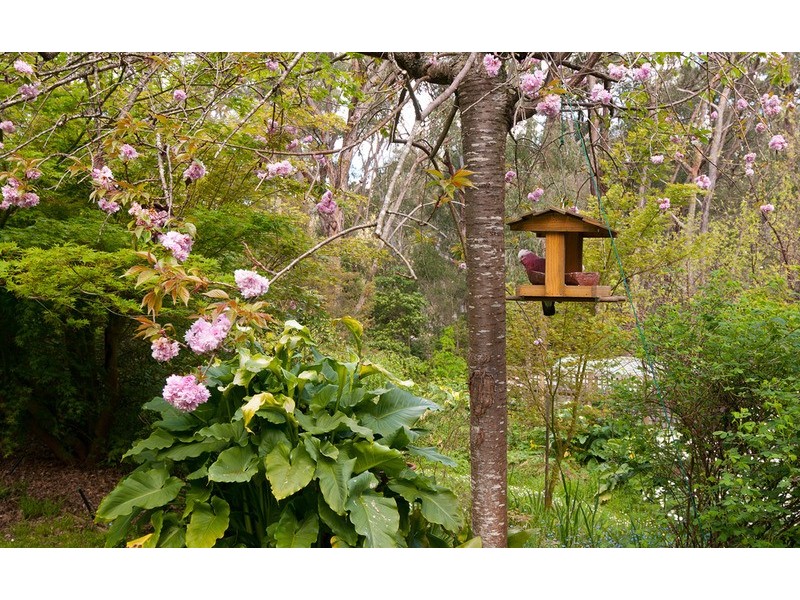 36 South Avenue, Mount Evelyn VIC 3796