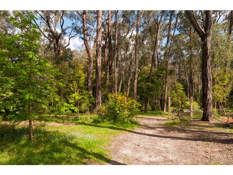 36 South Avenue, Mount Evelyn VIC 3796