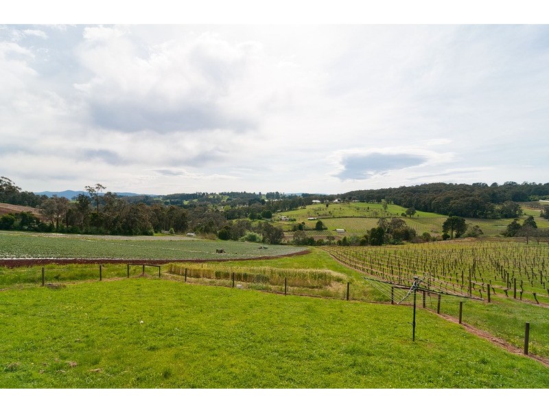 157 Monbulk Road, Mount Evelyn VIC 3796