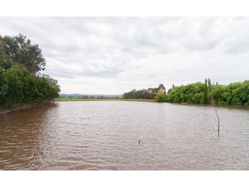 4 Tarrawarra Road, Coldstream VIC 3770