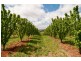 Wandin East VIC 3139