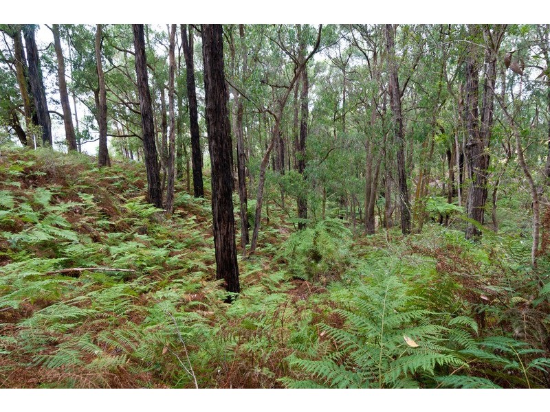 40 Webster Road, Silvan VIC 3795