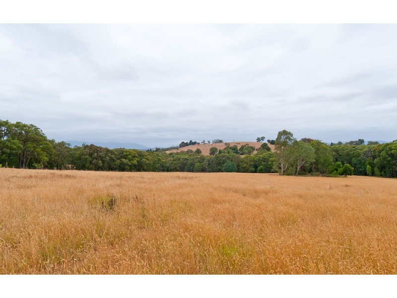 40 Webster Road, Silvan VIC 3795