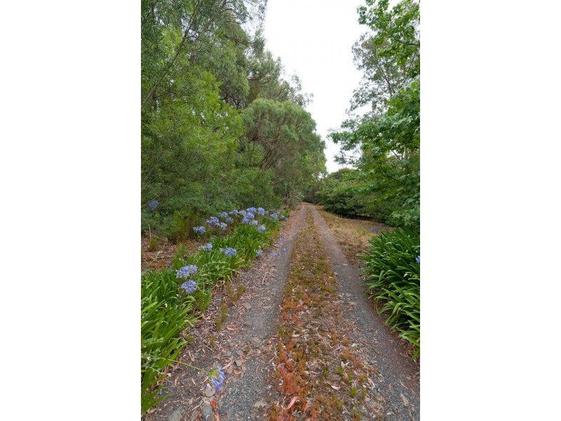 40 Webster Road, Silvan VIC 3795