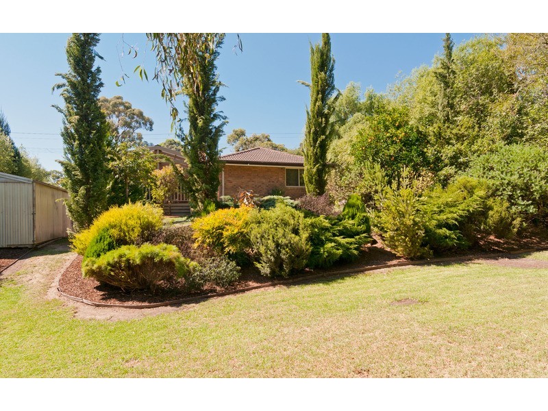 18 Currawong Avenue, Montrose VIC 3765