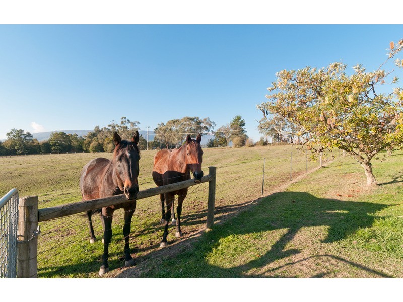 270 Old Warburton Highway, Woori Yallock VIC 3139