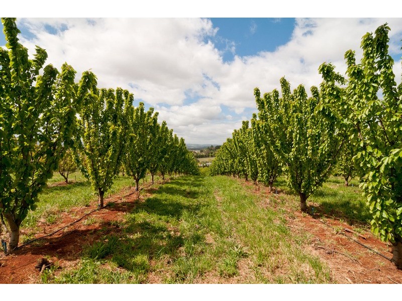 90 Monbulk Seville  Road, Wandin East VIC 3139