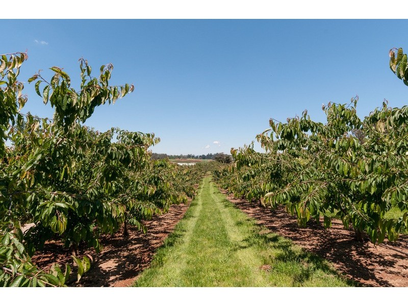 470 Queens  Road, Wandin East VIC 3139