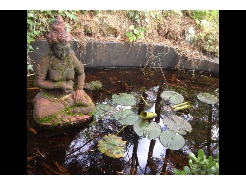 16 Borang Avenue, Mount Evelyn VIC 3796