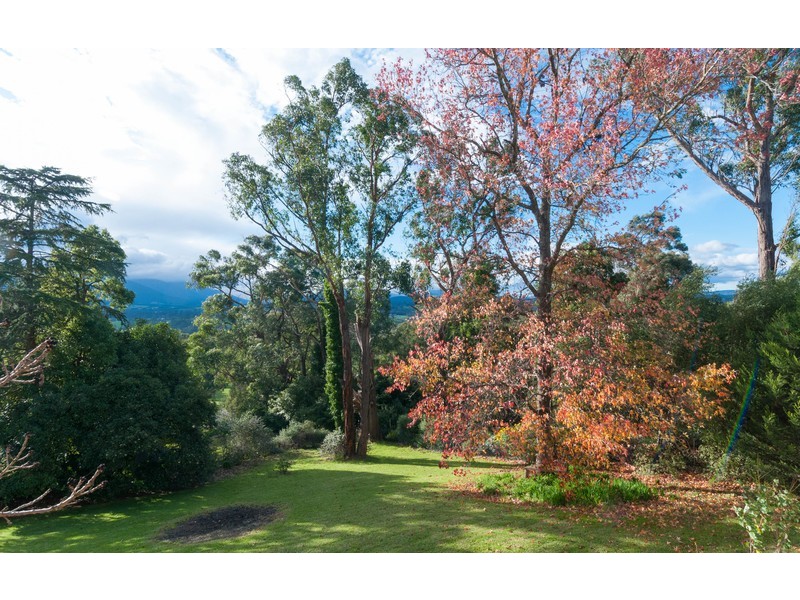 17 Peters Road, Seville East VIC 3139