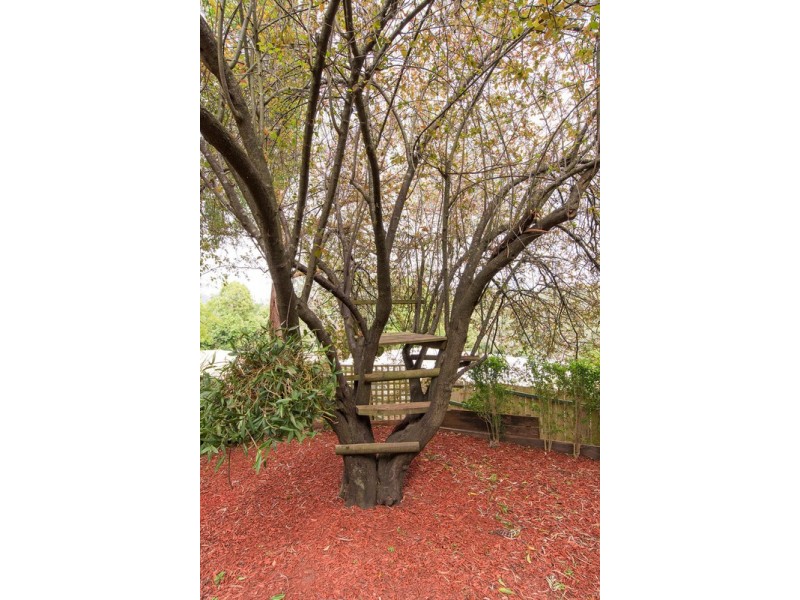 71 Johns Crescent, Mount Evelyn VIC 3796