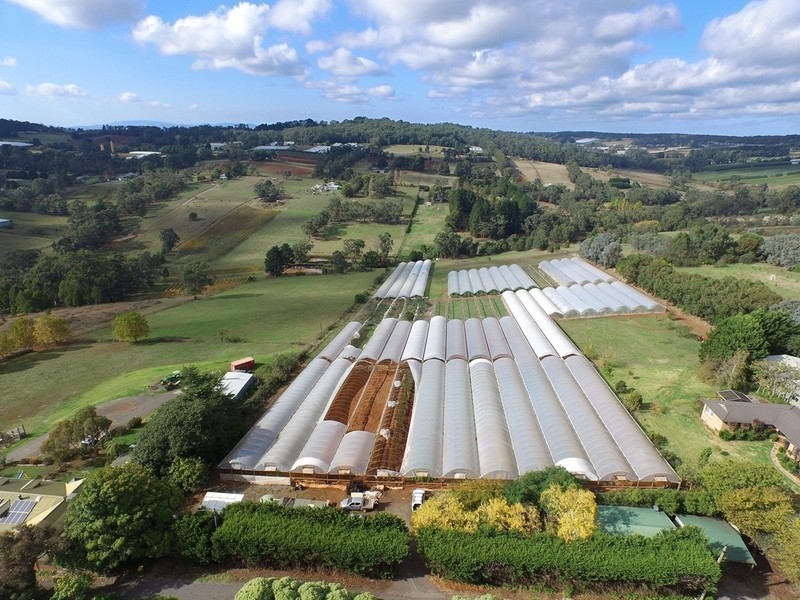 30 Bamfield Road, Mount Evelyn VIC 3796