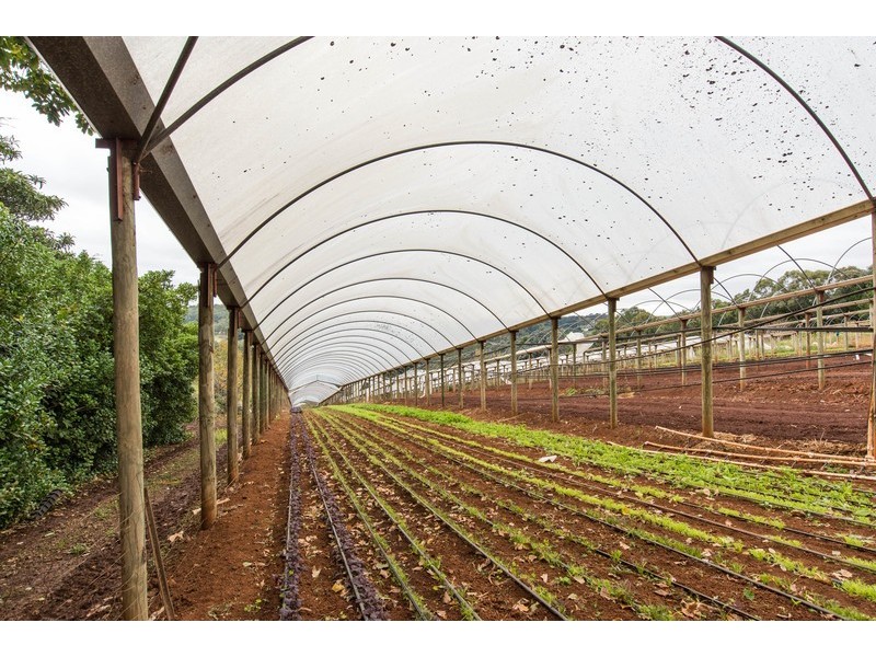 30 Bamfield Road, Mount Evelyn VIC 3796