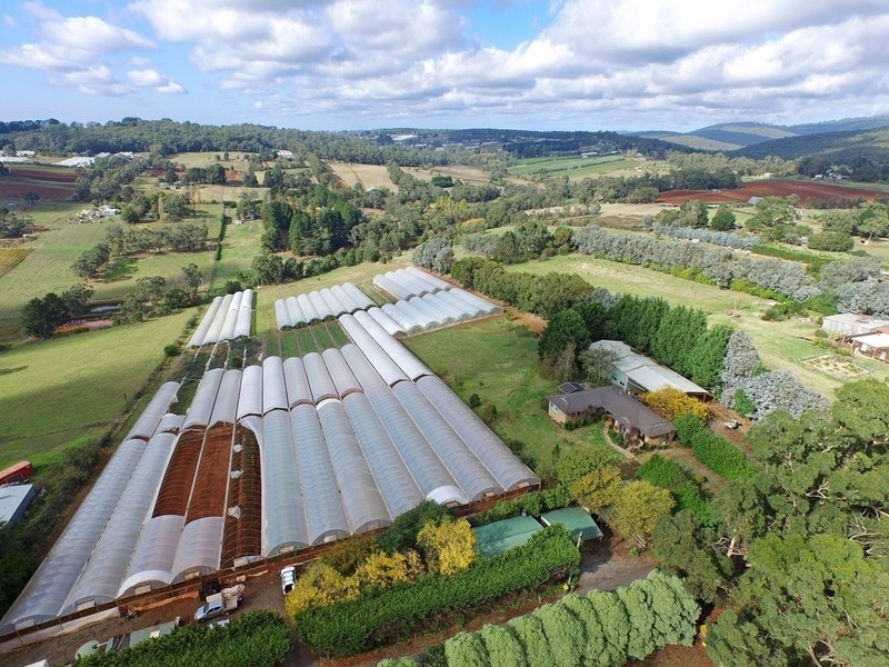 30 Bamfield Road, Mount Evelyn VIC 3796