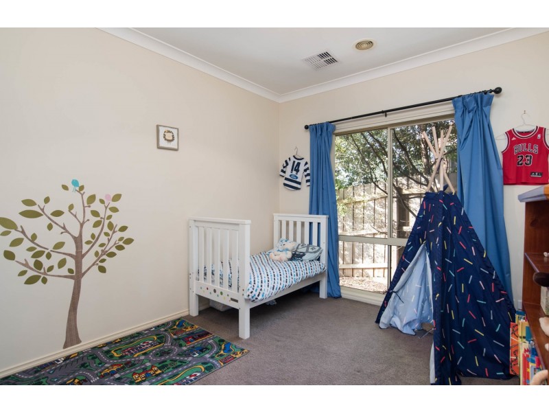 9 Ally Terrace, Chirnside Park VIC 3116