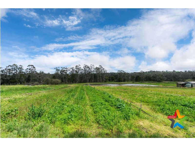 35 Foy Lane, Yellingbo VIC 3139