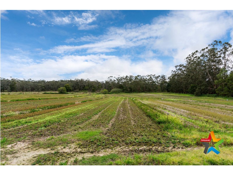 35 Foy Lane, Yellingbo VIC 3139