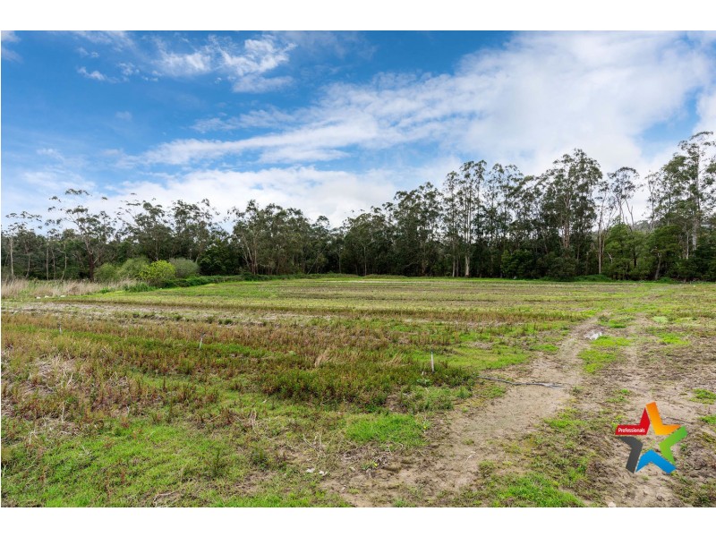 35 Foy Lane, Yellingbo VIC 3139