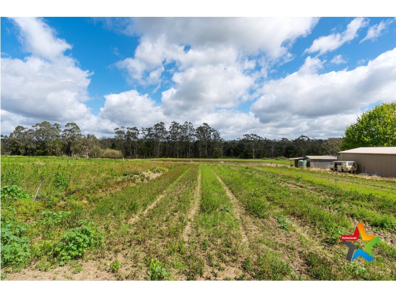 35 Foy Lane, Yellingbo VIC 3139