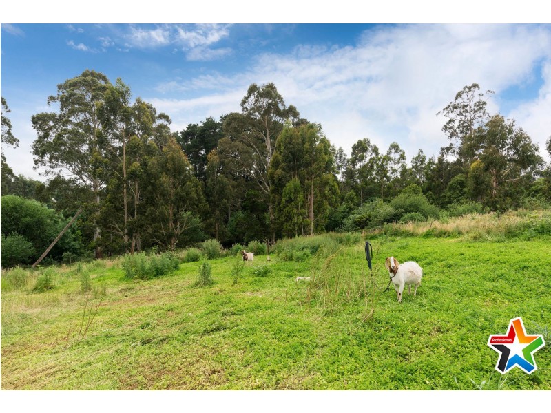 35 Link Road, Silvan VIC 3795