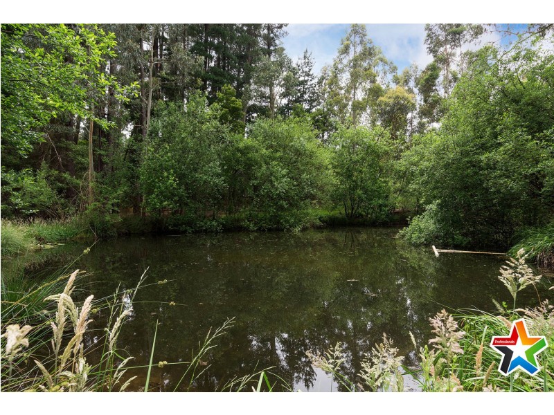 35 Link Road, Silvan VIC 3795