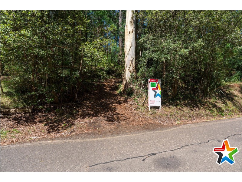 81 Riverside Drive, Warburton VIC 3799