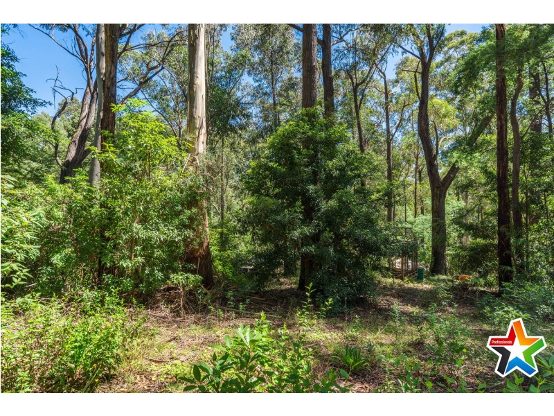 81 Riverside Drive, Warburton VIC 3799