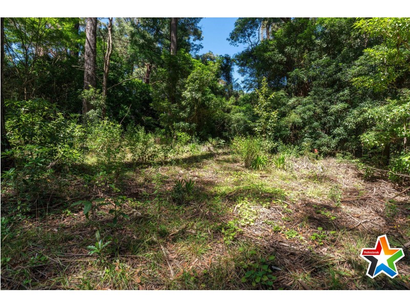 81 Riverside Drive, Warburton VIC 3799