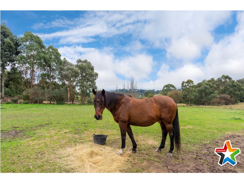 40-56 Mangans Road, Lilydale VIC 3140