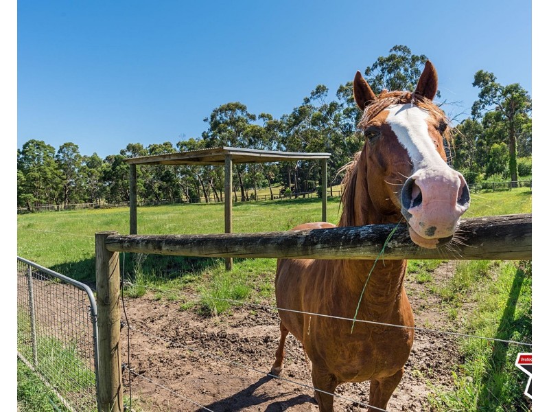 72 McKillop Road, Mount Evelyn VIC 3796