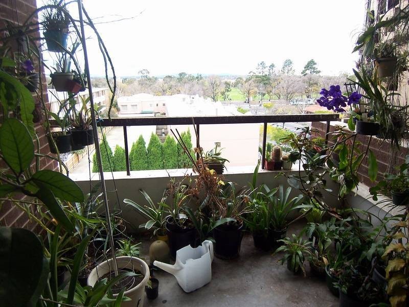 19/248 The Avenue, Parkville VIC 3052