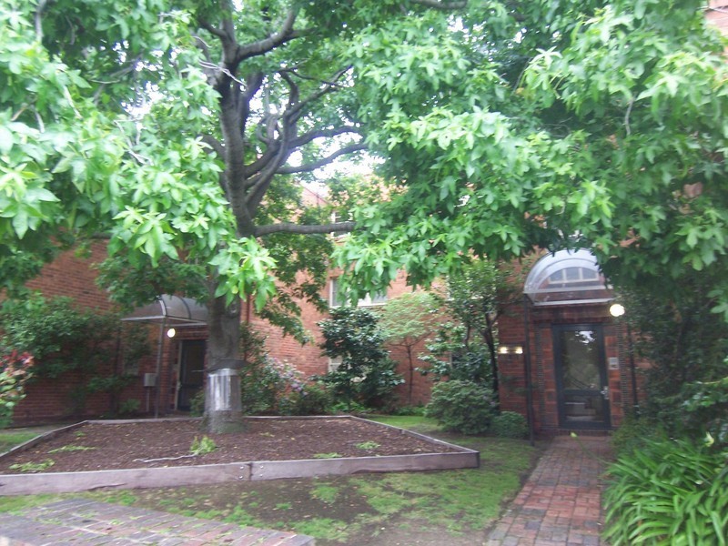 98 Vale Street, East Melbourne VIC 3002