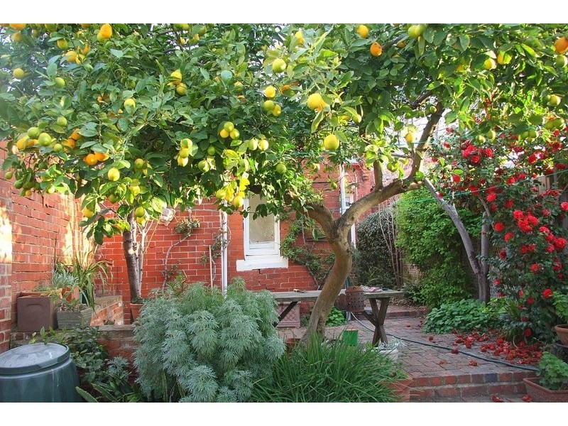 584 Victoria Street, North Melbourne VIC 3051