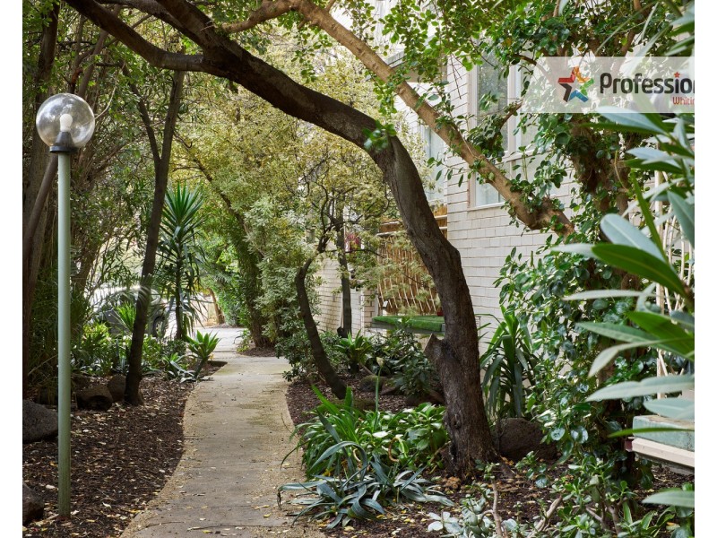 5/203 Alma Road, St Kilda East VIC 3183