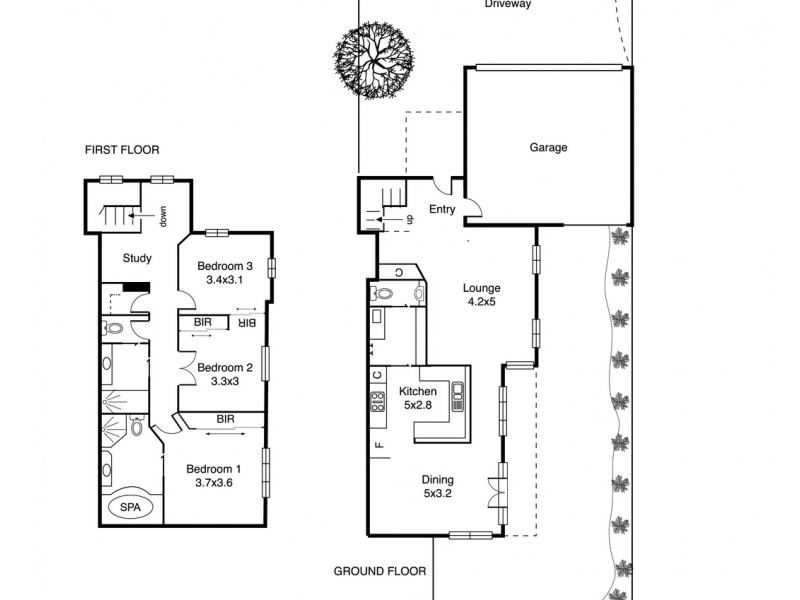 7 Ebden Avenue, Black Rock VIC 3193 Floorplan
