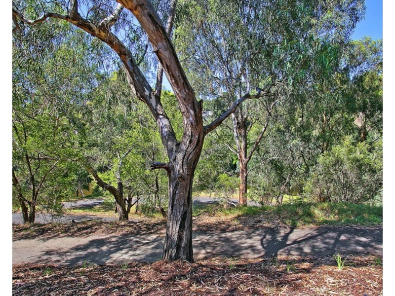 103/13 Acacia Place, Abbotsford VIC 3067