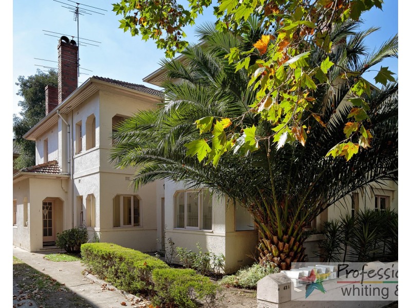 1/42A Mitford Street, Elwood VIC 3184