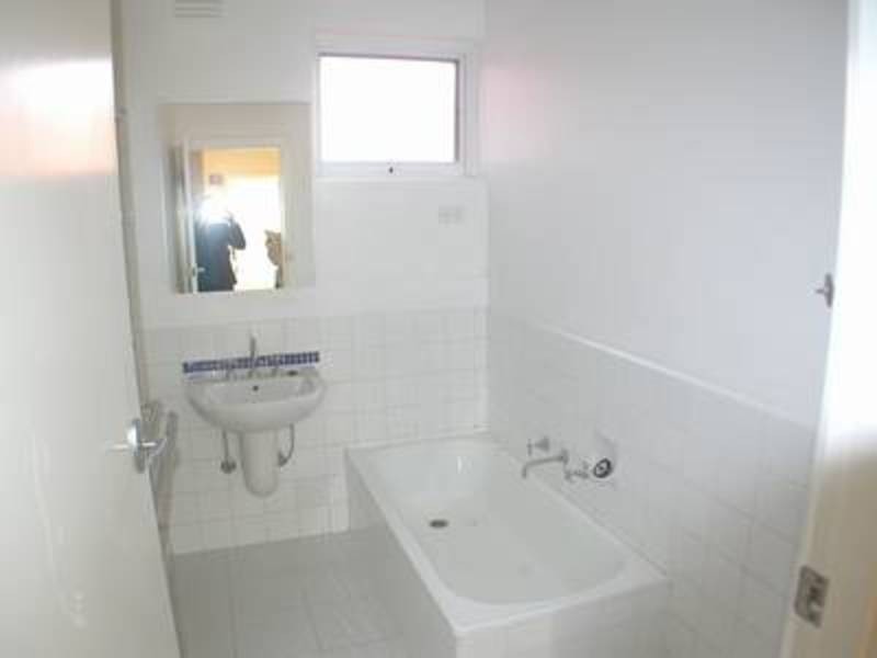 8/43 Milton Street, Elwood VIC 3184