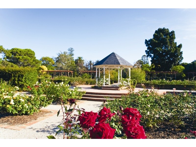 1/16 Mitford Street, St Kilda VIC 3182