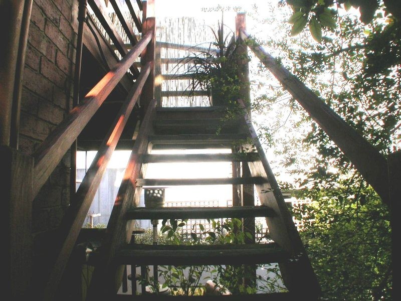 3/12 Jackson Street, St Kilda VIC 3182