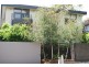 7/6 Inverleith Court, St Kilda VIC 3182