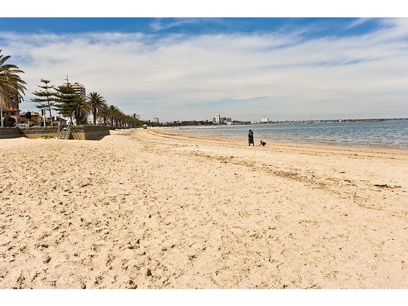 113 Ashworth Street Street, Albert Park VIC 3206