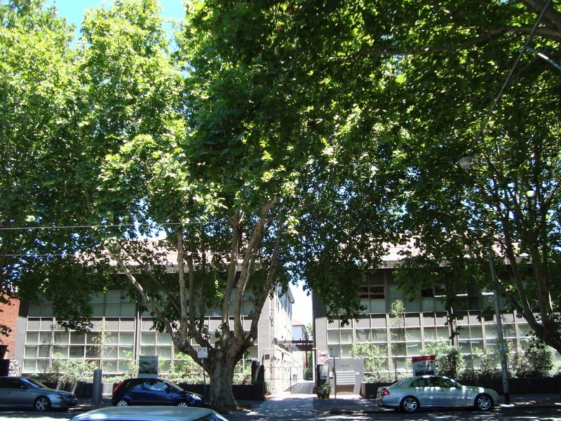 18/11-17 Park Street, St Kilda VIC 3182