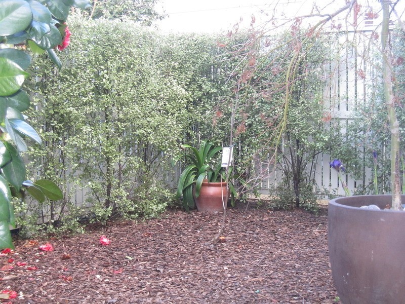 13/1a Maysbury Avenue, Elwood VIC 3184